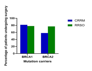 fortune-biomass-feedstock fortune-biomass-feedstock
