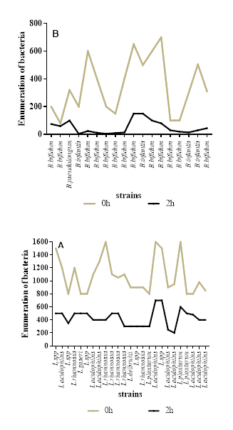 fortune-biomass-feedstock fortune-biomass-feedstock