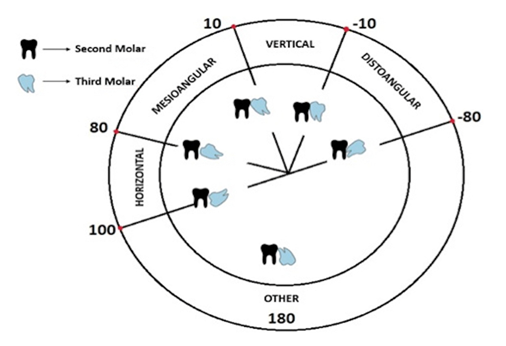 fortune-biomass-feedstock