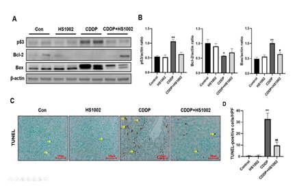 fortune-biomass-feedstock fortune-biomass-feedstock
