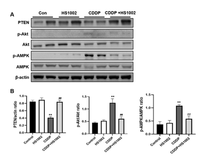 fortune-biomass-feedstock fortune-biomass-feedstock