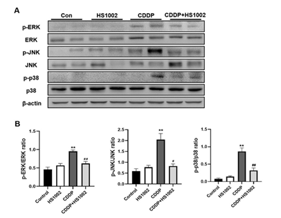 fortune-biomass-feedstock fortune-biomass-feedstock