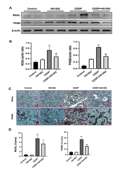 fortune-biomass-feedstock fortune-biomass-feedstock