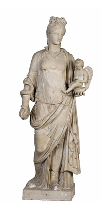 fortune-biomass-feedstock