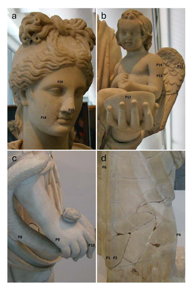 fortune-biomass-feedstock