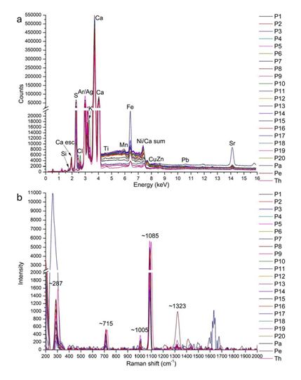 fortune-biomass-feedstock
