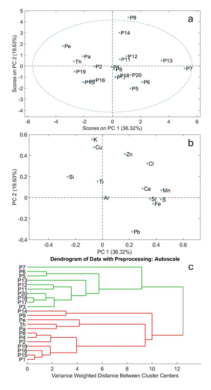fortune-biomass-feedstock