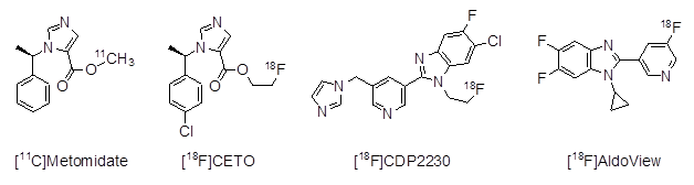 fortune-biomass-feedstock