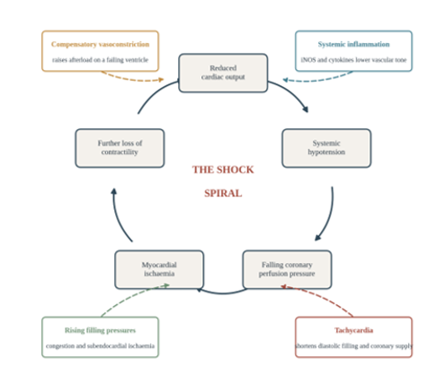 fortune-biomass-feedstock