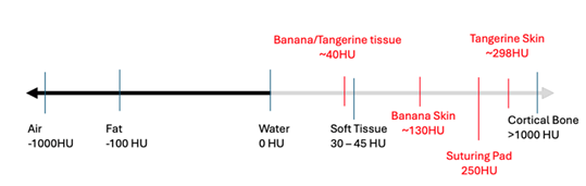 fortune-biomass-feedstock