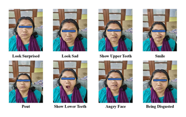 fortune-biomass-feedstock