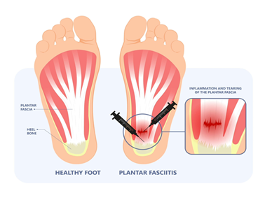 fortune-biomass-feedstock fortune-biomass-feedstock