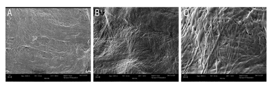 fortune-biomass-feedstock fortune-biomass-feedstock