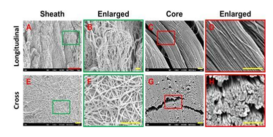 fortune-biomass-feedstock fortune-biomass-feedstock