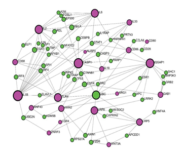 fortune-biomass-feedstock fortune-biomass-feedstock