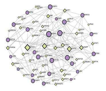 fortune-biomass-feedstock fortune-biomass-feedstock