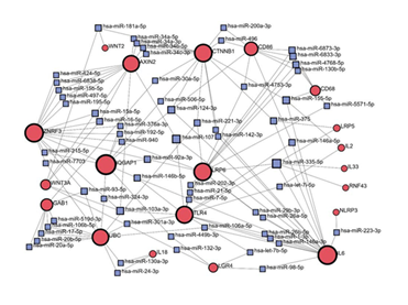 fortune-biomass-feedstock fortune-biomass-feedstock