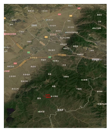fortune-biomass-feedstock