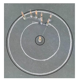 fortune-biomass-feedstock
