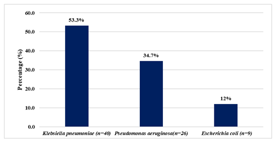 fortune-biomass-feedstock