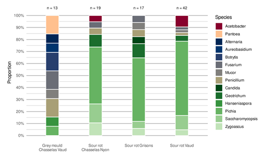 fortune-biomass-feedstock
