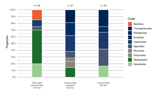 fortune-biomass-feedstock