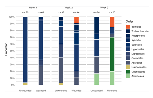 fortune-biomass-feedstock