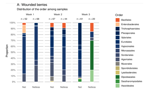 fortune-biomass-feedstock