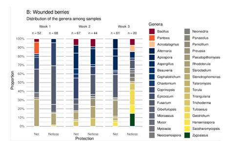 fortune-biomass-feedstock