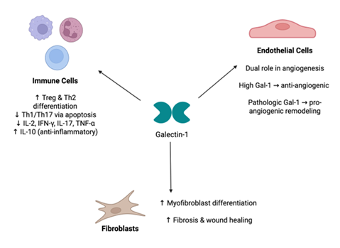 fortune-biomass-feedstock