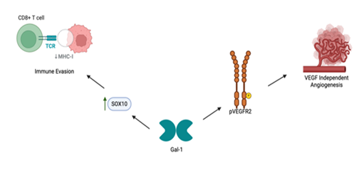 fortune-biomass-feedstock
