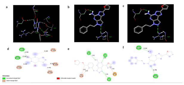 fortune-biomass-feedstock