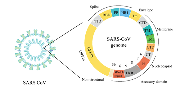 fortune-biomass-feedstock fortune-biomass-feedstock