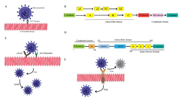 fortune-biomass-feedstock fortune-biomass-feedstock