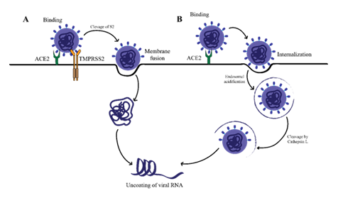 fortune-biomass-feedstock fortune-biomass-feedstock