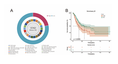 fortune-biomass-feedstock fortune-biomass-feedstock