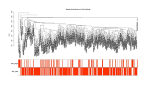 fortune-biomass-feedstock fortune-biomass-feedstock