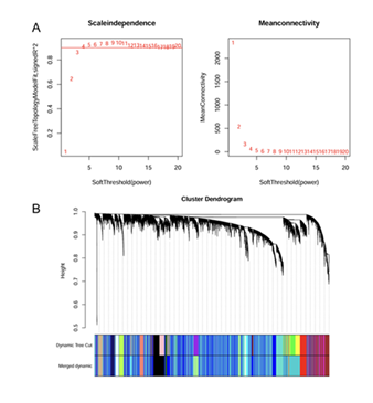 fortune-biomass-feedstock fortune-biomass-feedstock