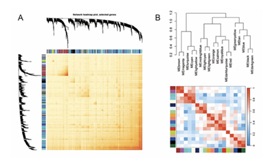 fortune-biomass-feedstock fortune-biomass-feedstock