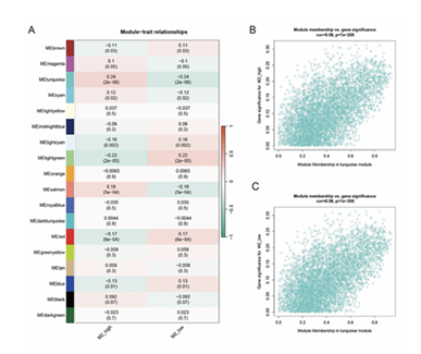 fortune-biomass-feedstock fortune-biomass-feedstock