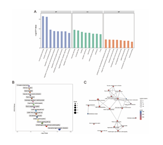 fortune-biomass-feedstock fortune-biomass-feedstock