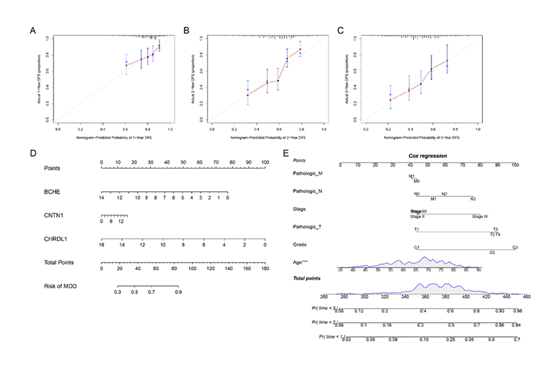 fortune-biomass-feedstock fortune-biomass-feedstock