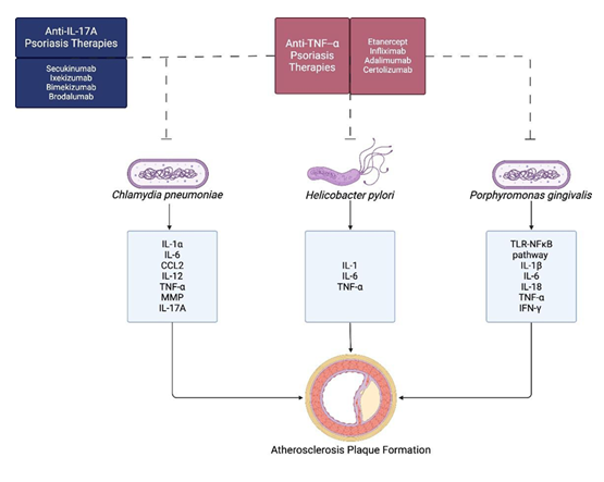 fortune-biomass-feedstock fortune-biomass-feedstock