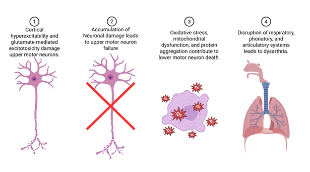 fortune-biomass-feedstock