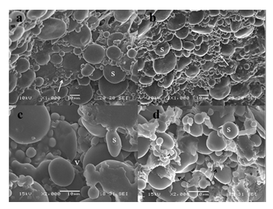 fortune-biomass-feedstock