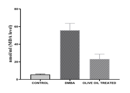 fortune-biomass-feedstock