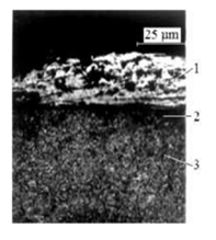 fortune-biomass-feedstock fortune-biomass-feedstock