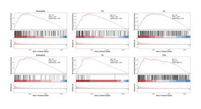 fortune-biomass-feedstock fortune-biomass-feedstock