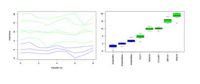 fortune-biomass-feedstock fortune-biomass-feedstock