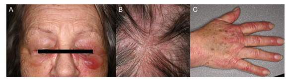 fortune-biomass-feedstock fortune-biomass-feedstock